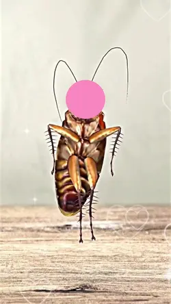 cockroach dance 
