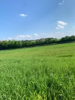 Nature heals 🥰🌳