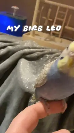 Leo!!