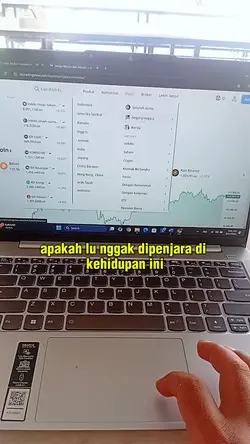 finansial/timonty