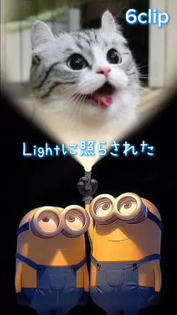 ミニオンズ🍌
