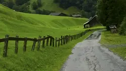 Video youtube