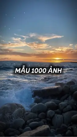Mẫu 1000 ảnh
