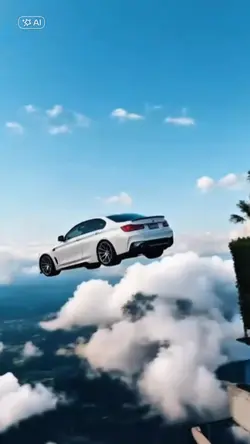 car fly 