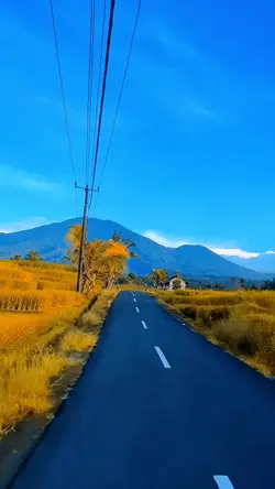 Alam estetik