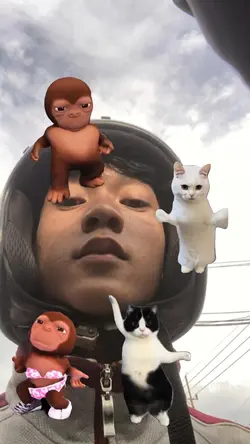 MONYET GOYANG