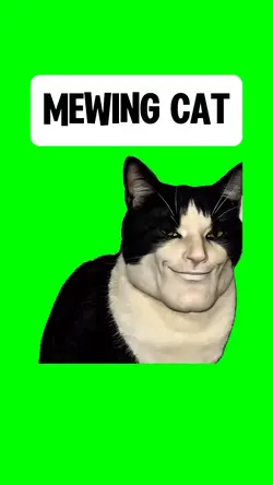 MEWING CAT