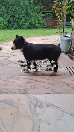 Ça va trop vite 