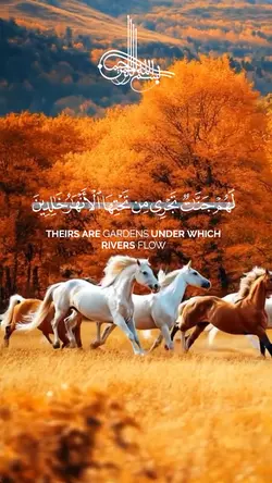 quran beautiful voic