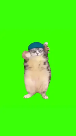 cat Girlfriend 