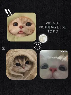 Trio photos 