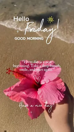 Hello Friday 🌞