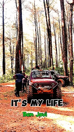 IT'S MY LIFE