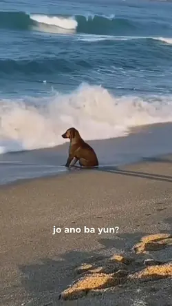 Jo anoba bagodkanaba
