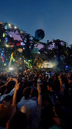 Festival vibes 