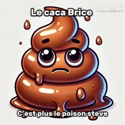 Le caca BRICE