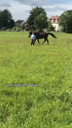 J’ai cligné des yeux