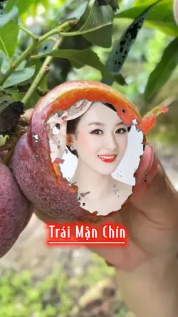 Trái Mận Chín
