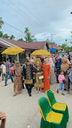 Lagu aceh bergek