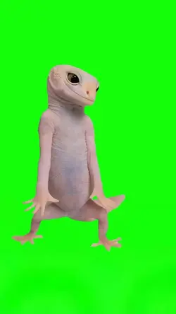Gecko Throwing Shade