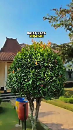 Semangat kerja ketua