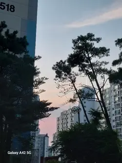어느학교갈래?
