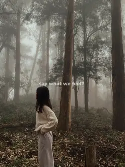 Aesthetic Lirik Lagu