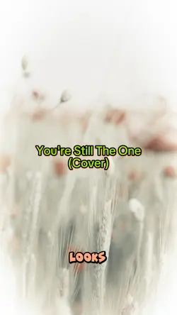 youre still the one