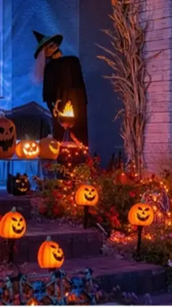 14 more weeks 🎃👻🦇