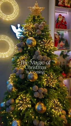 Magical Christmas