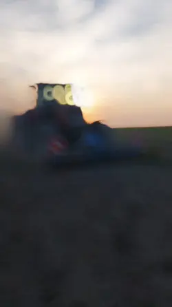 Gras sähen 