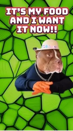 I Want It Now 