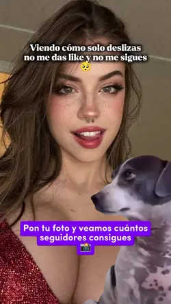 Más seguidores nuevo