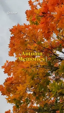 autumn memories 