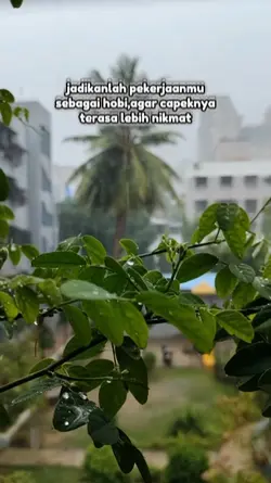 bahan story