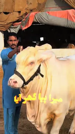Mera piya ghr aya
