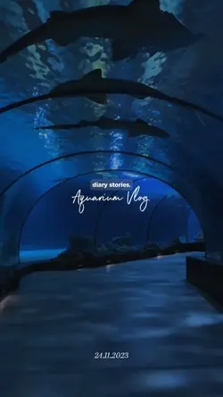 aquarium vlog