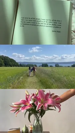 1 frame 3 video 