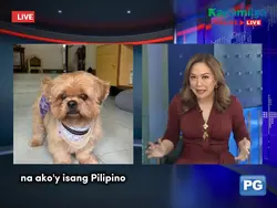 INTERVIEW