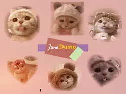 june Dump