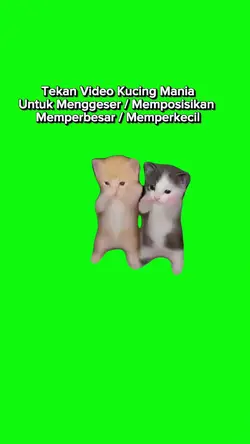 trend kucing