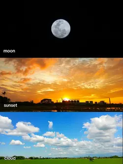 sky's