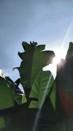 2 klip blur hd