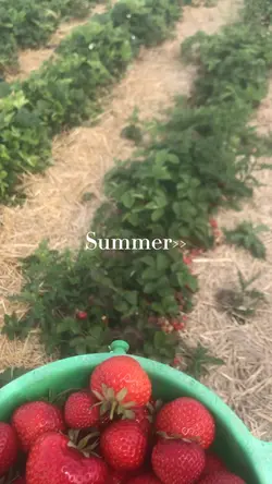 Summer>>