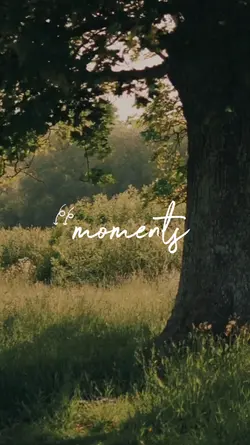 aesthetic moments