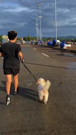 Exercise 