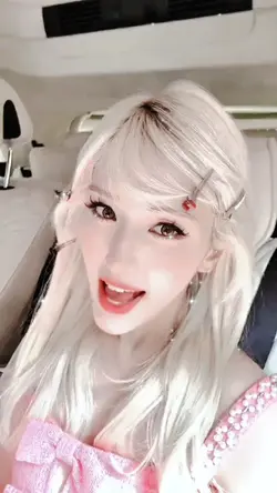 somi filtr