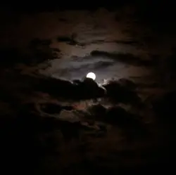 luna dile