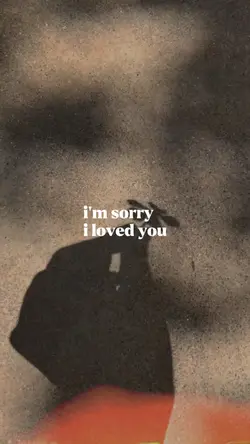 im sorry i loved you