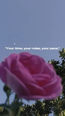 quotes story